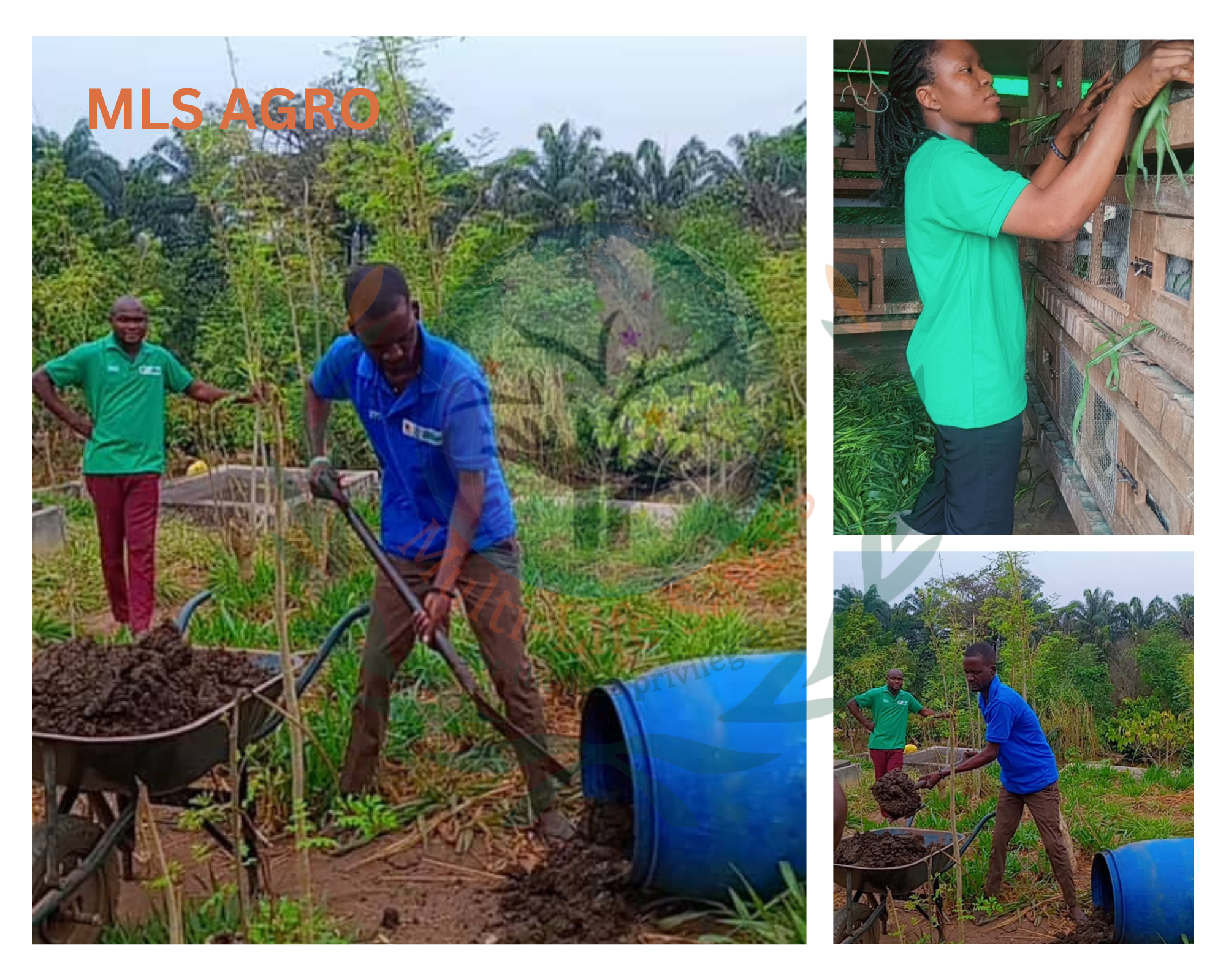 MLS Agrohub Farmers at Work