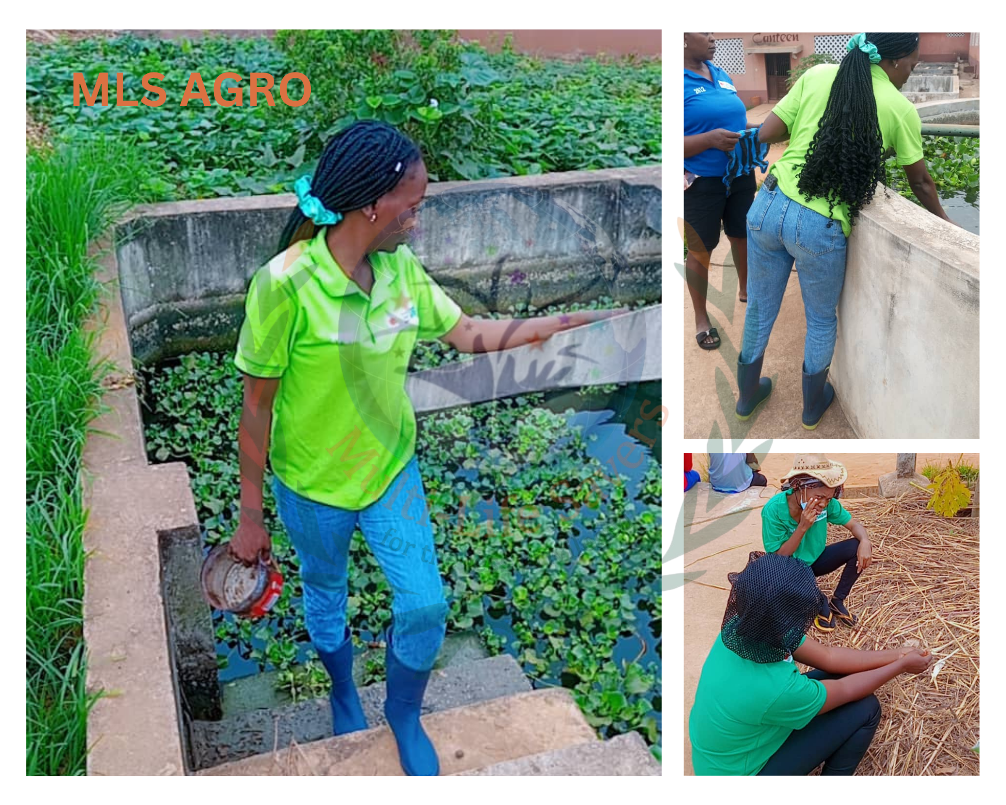 MLS Agrohub Farmers at Work 3