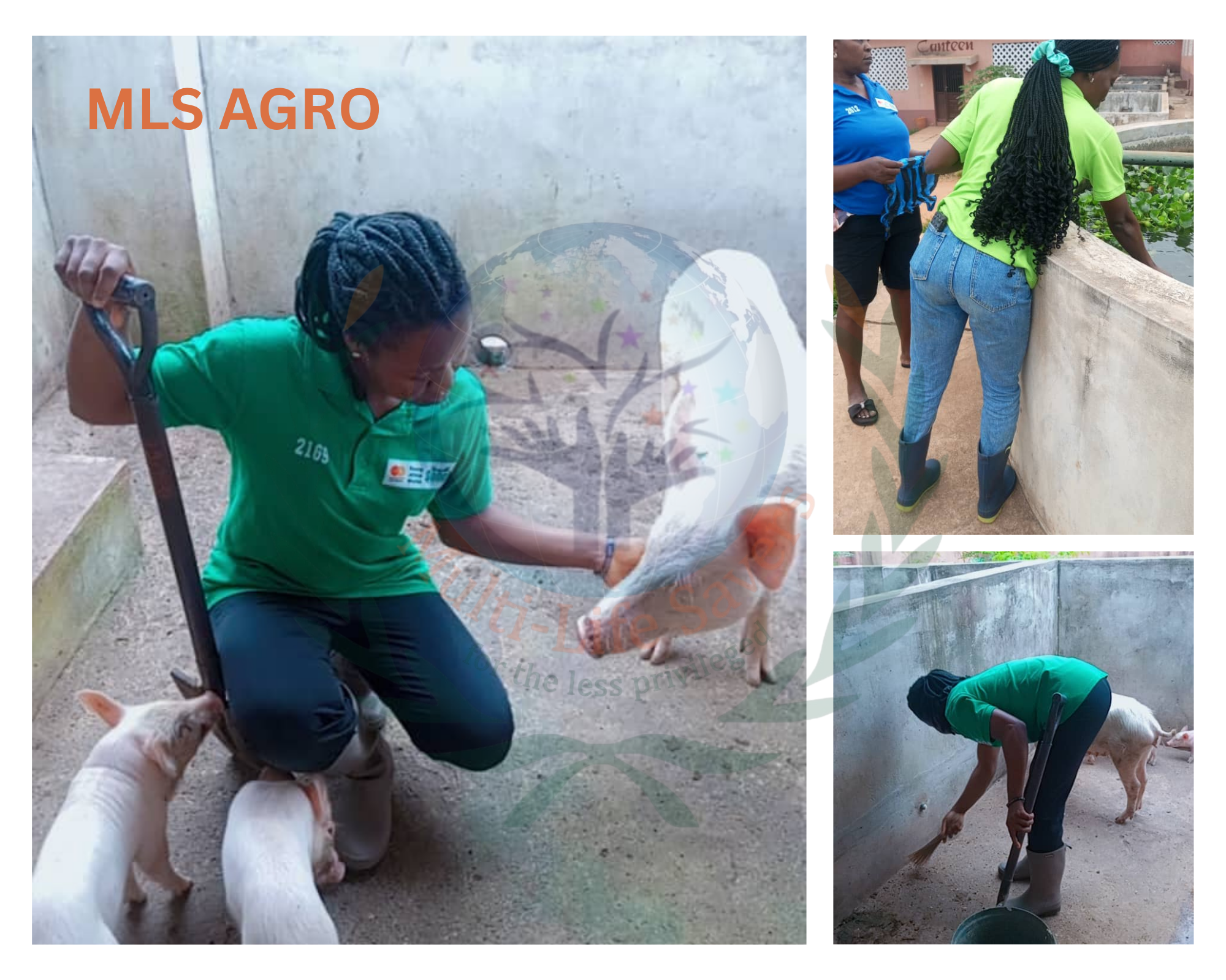 MLS Agrohub Farmers at Work 2